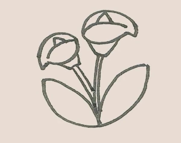 马蹄莲简笔画步骤