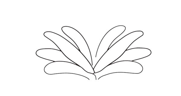 漂亮的君子兰简笔画