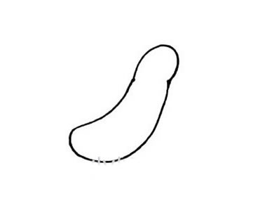 一步步教你画黄瓜 一步步教你画黄瓜