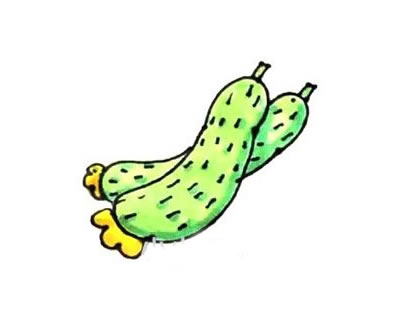 一步步教你画黄瓜 一步步教你画黄瓜