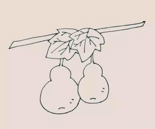 挂在藤上的葫芦简笔画