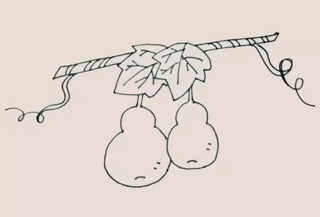 挂在藤上的葫芦简笔画