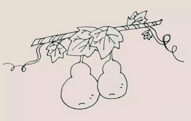 挂在藤上的葫芦简笔画