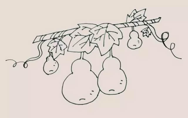 挂在藤上的葫芦简笔画