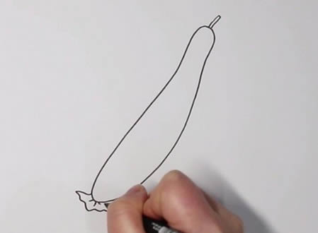 漂亮的黄瓜简笔画教程(漂亮的黄瓜简笔画图片)