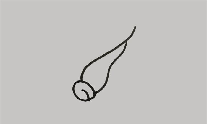 青菜简笔画 教你画青菜的步骤