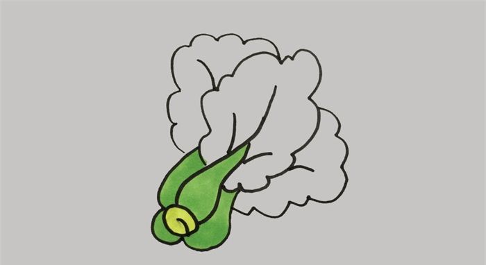 青菜怎么画