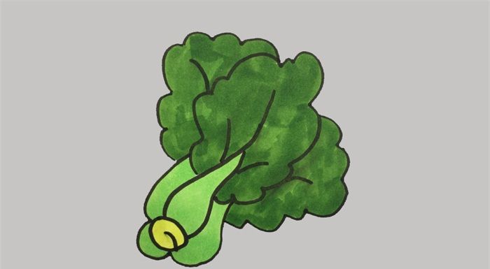 青菜怎么画