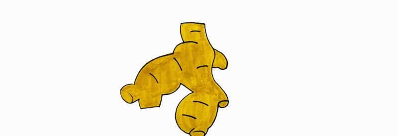简单的生姜简笔画(生姜简易画法)
