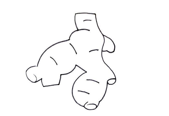 生姜怎么画