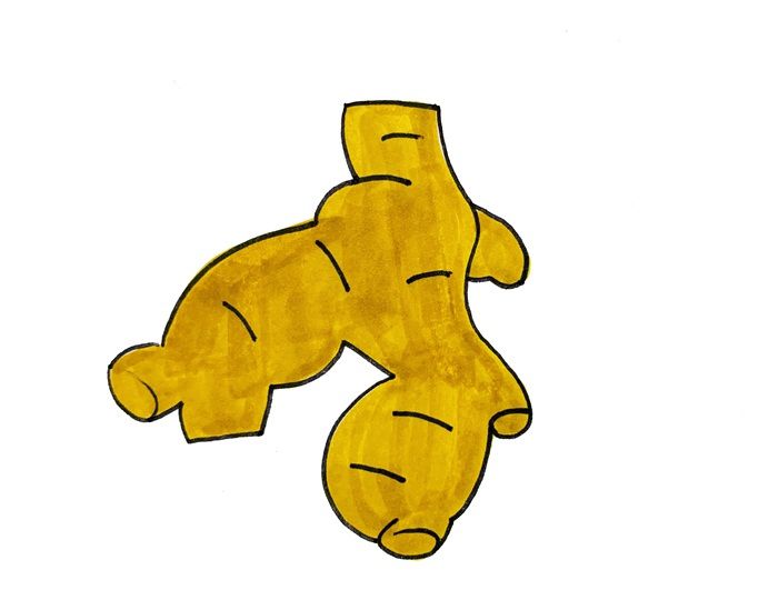 生姜怎么画
